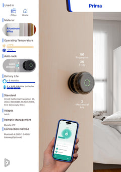 Blusafe Prima Smart Fingerprint Knob — Black product image